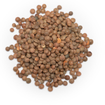 brown lentils
