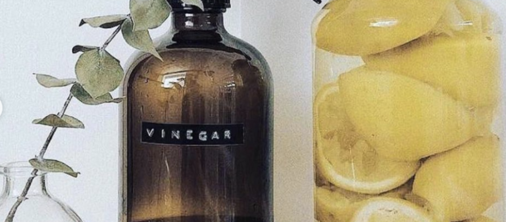 Natural Citrus Household Cleaner